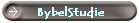 BybelStudie