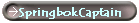 SpringbokCaptain